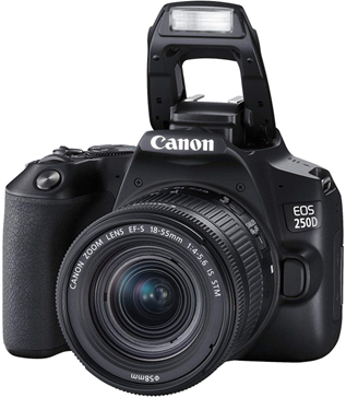 CANON EOS 250 D EF-S 18-55 IS STM KIT