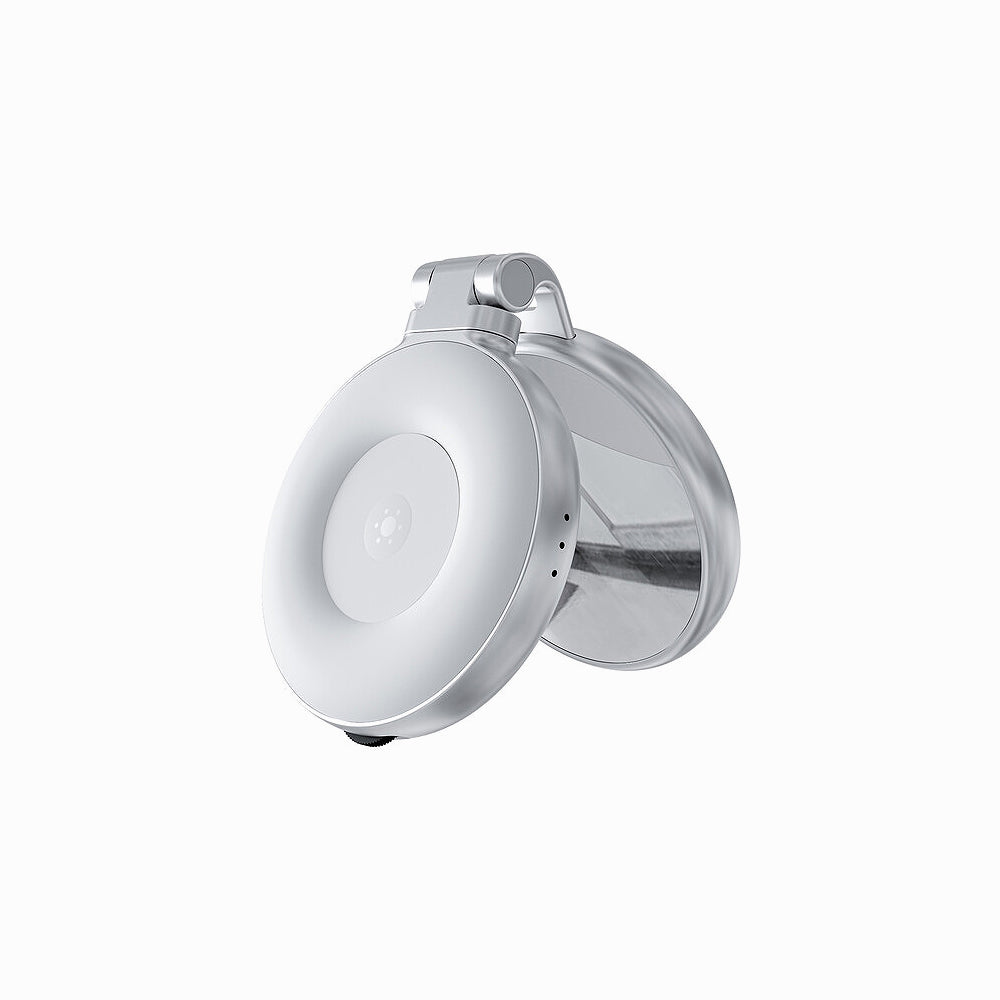 TELESIN Mobile phone beauty fill light (P5-BGD-04)